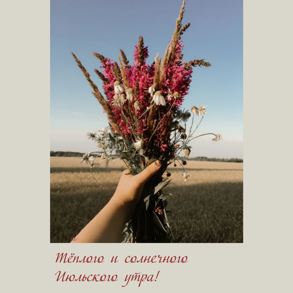 Тёплого и солнечного июльского утра!