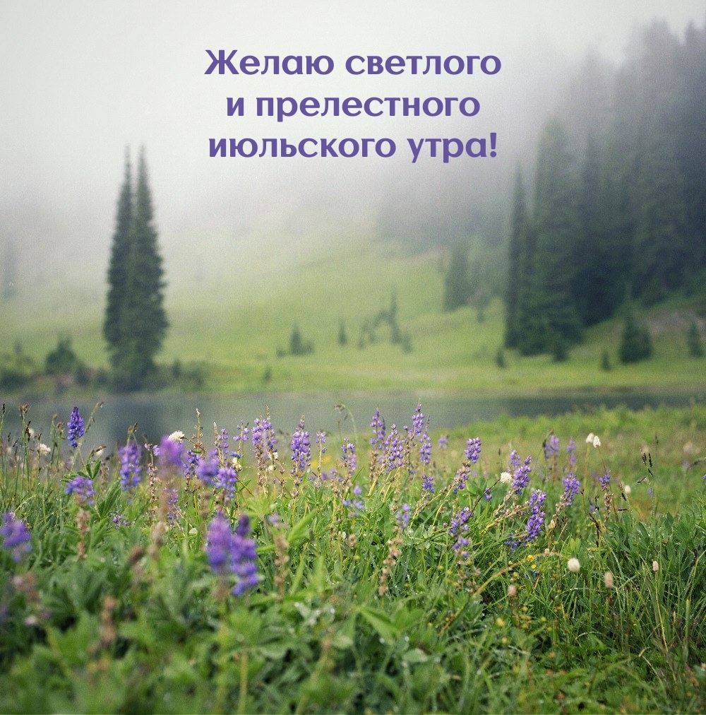 Желаю светлого и прелестного июльского утра!