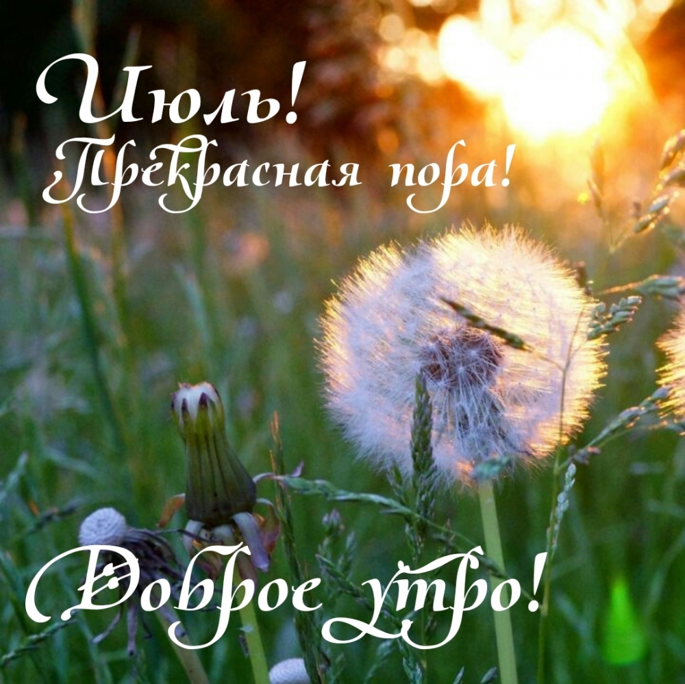 Июль! Прекрасная пора! Доброе утро!