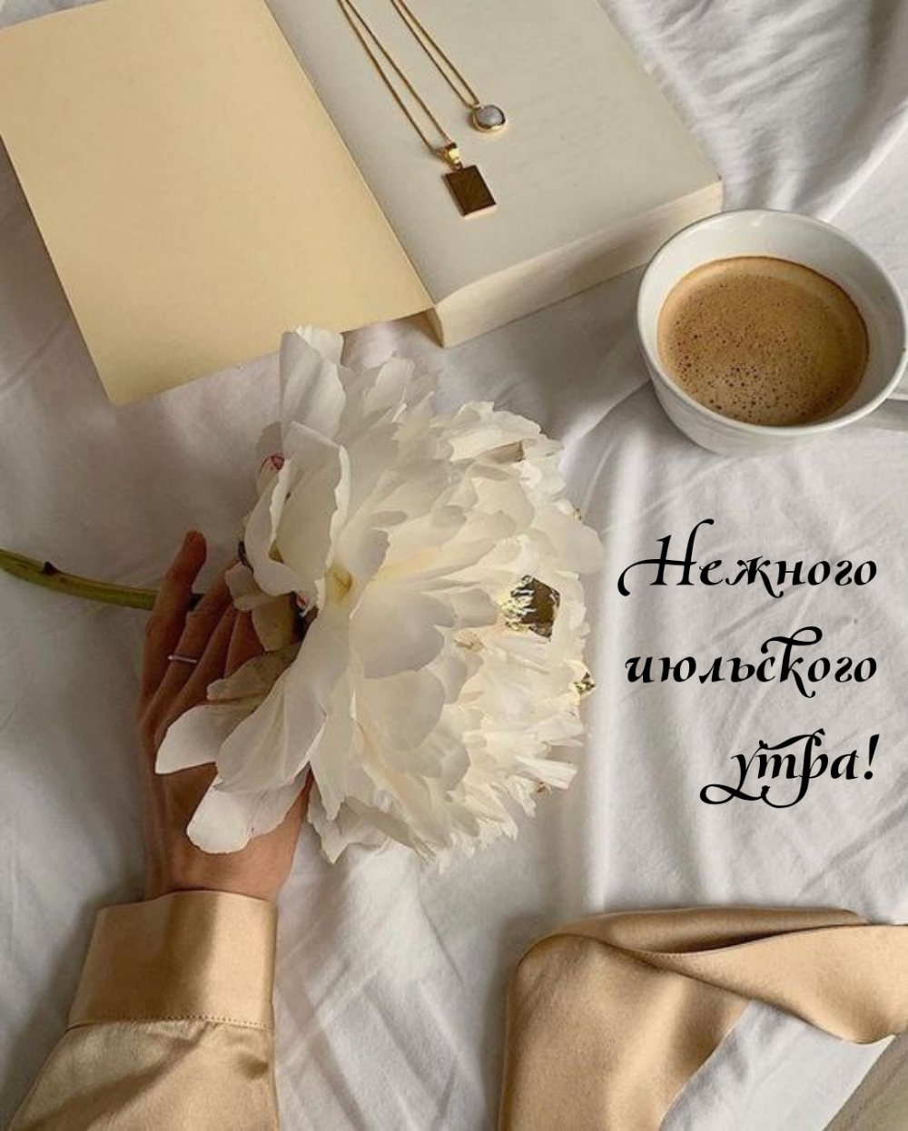 Нежного июльского утра!