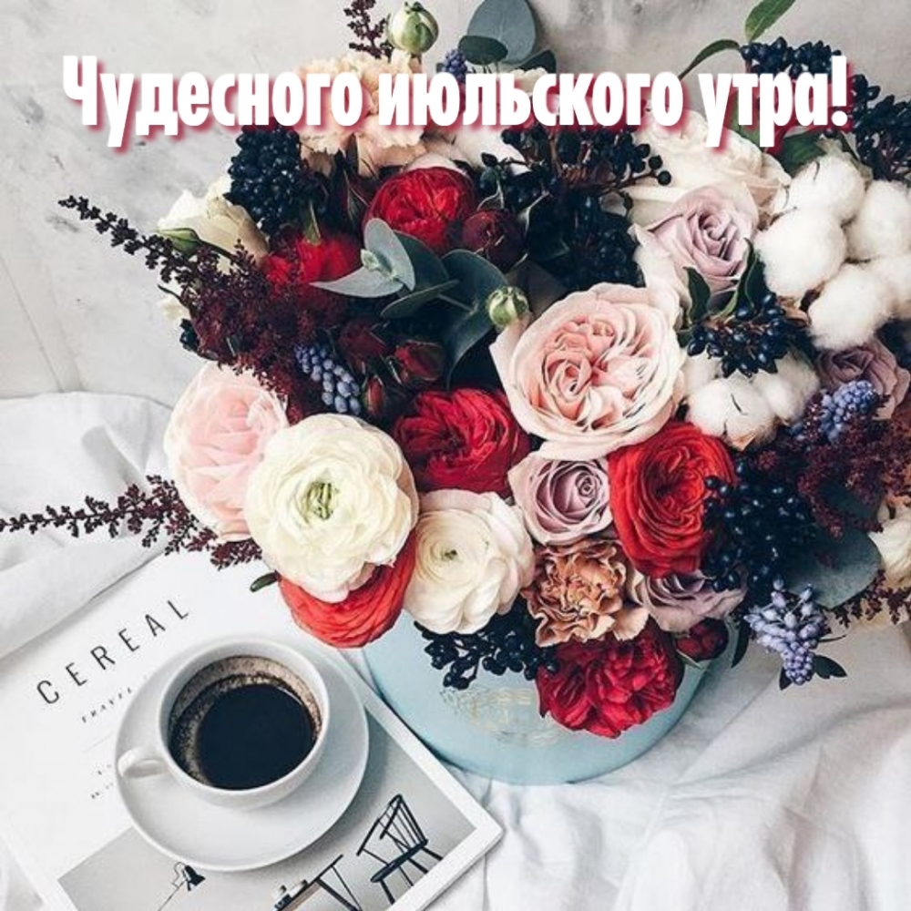 Чудесного июльского утра!