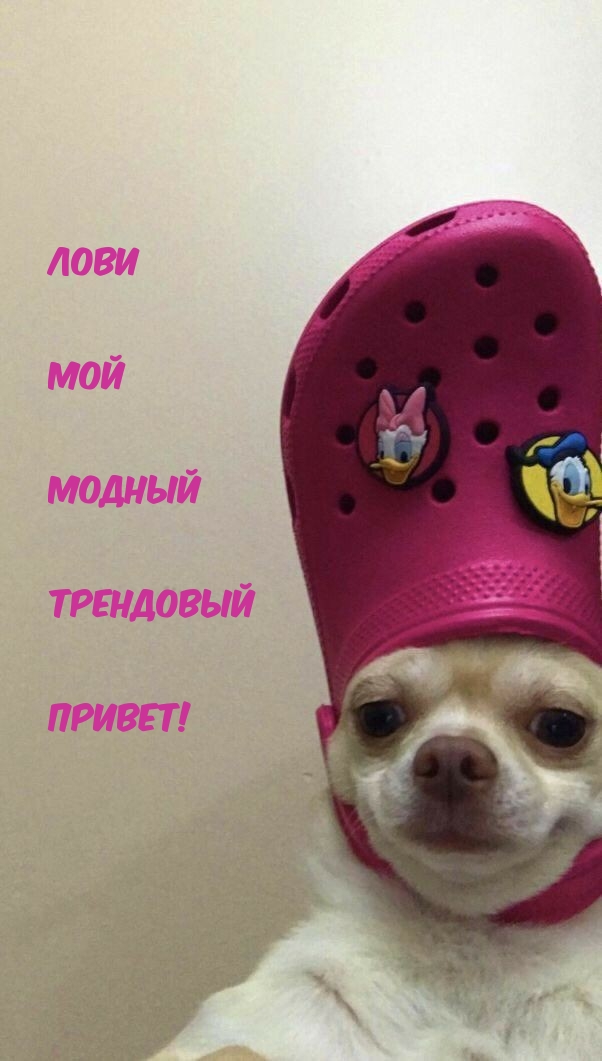 Лови Мой Модный Трендовый Привет!
