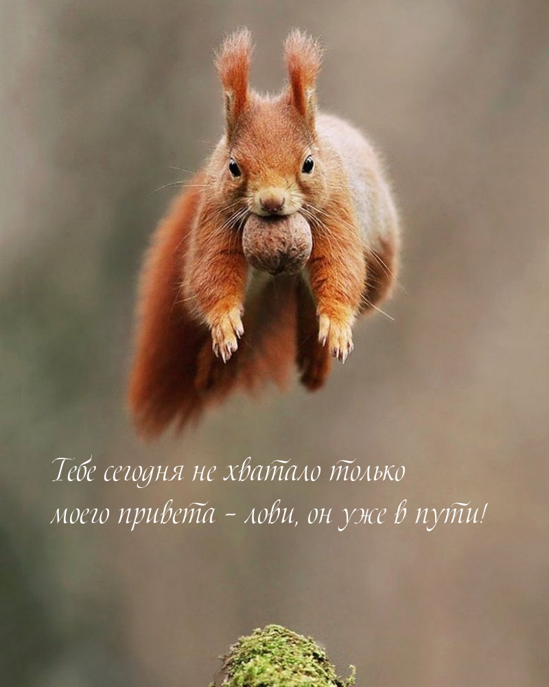 Тебе сегодня не хватало только моего привета – лови, он уже в пути!