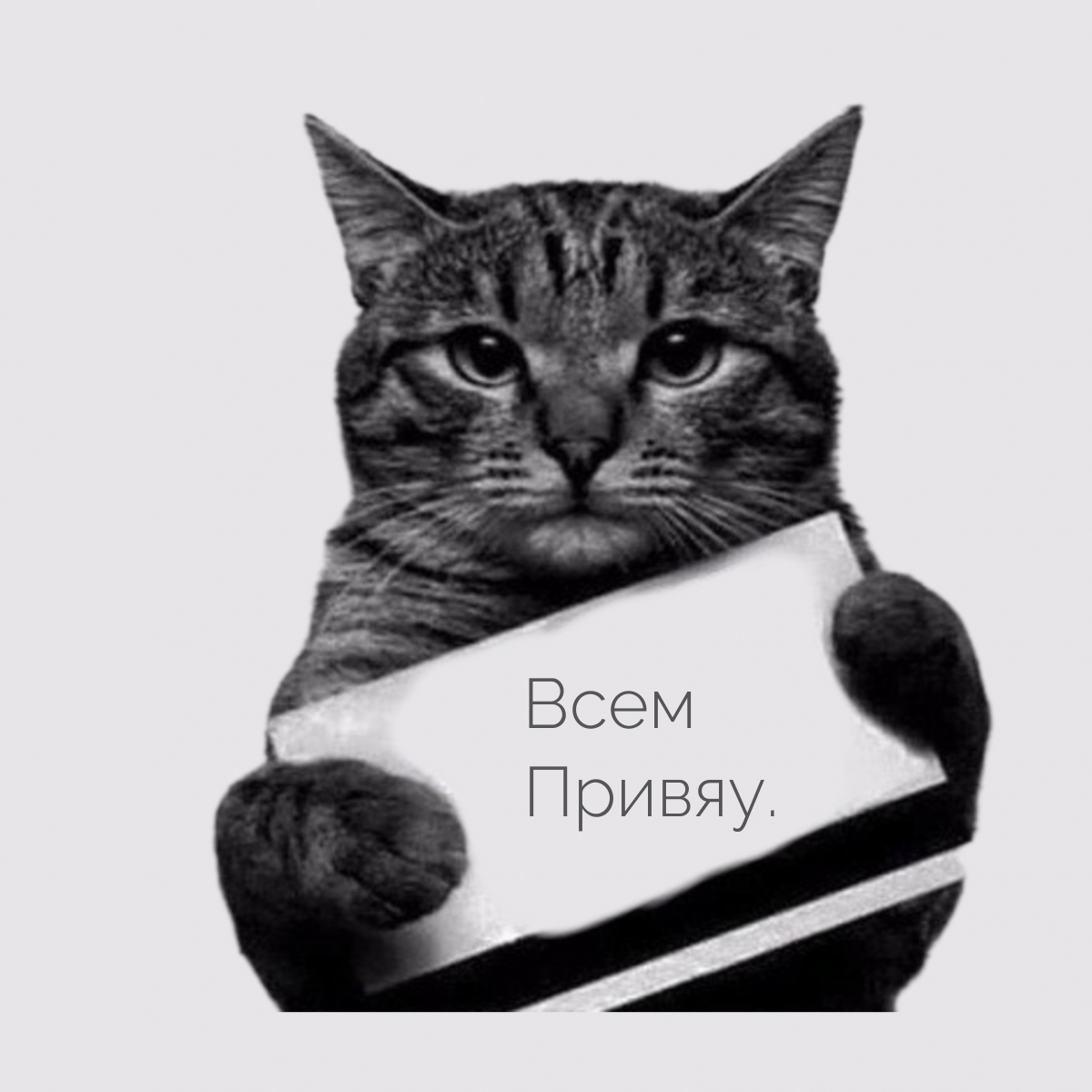 Всем Привяу.