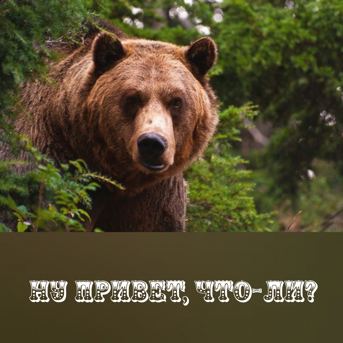Ну привет, что-ли?