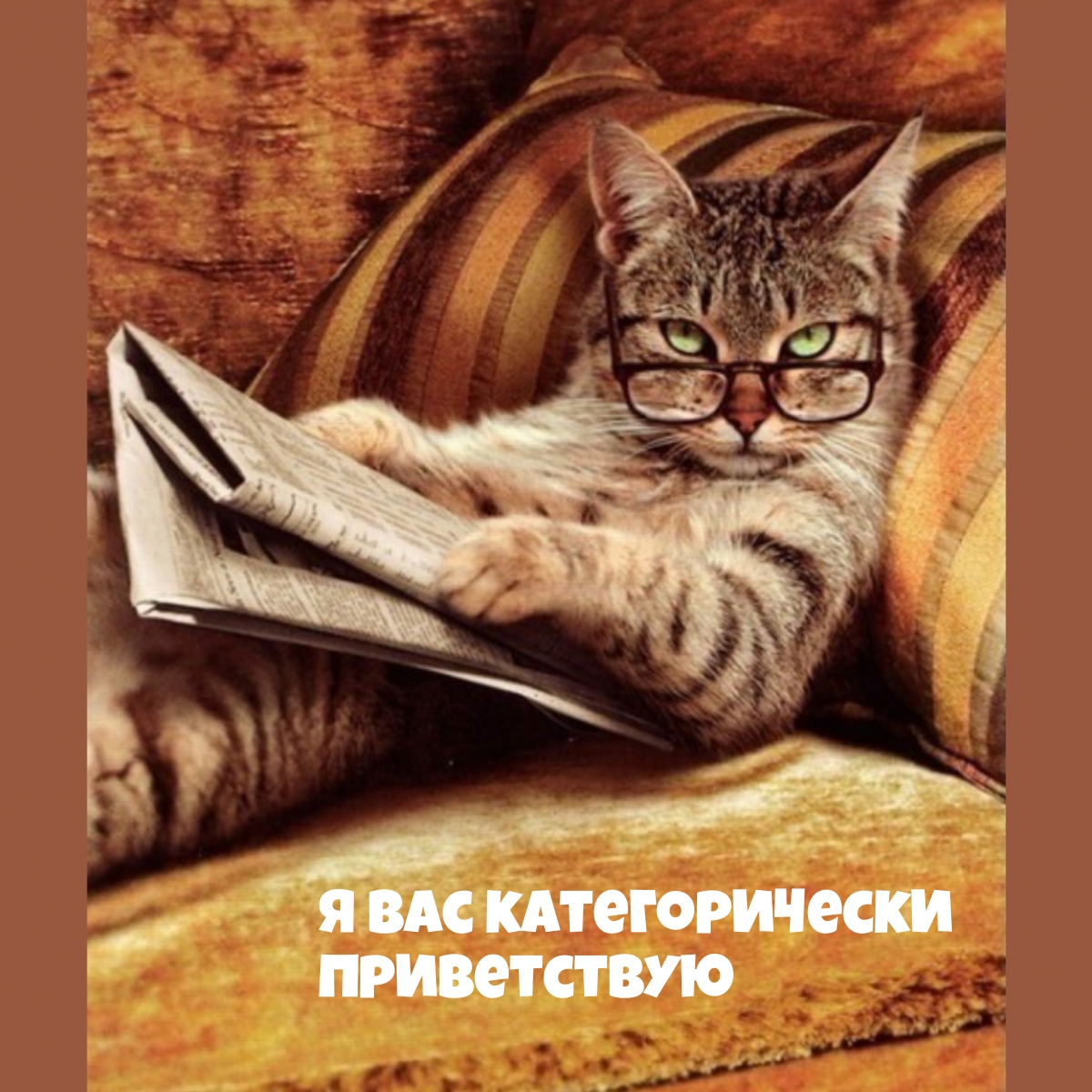 Я вас категорически приветствую