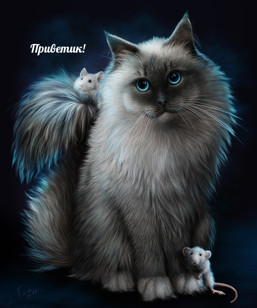 Приветик!
