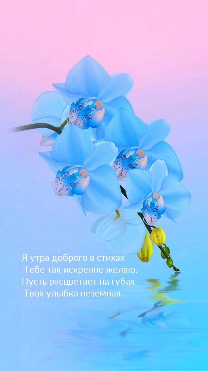 Картинка - Твоя улыбка неземная. Я утра доброго в стихах так искренне желаю.
