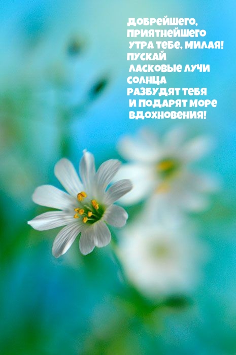Добрейшего, приятнейшего утра тебе, милая!