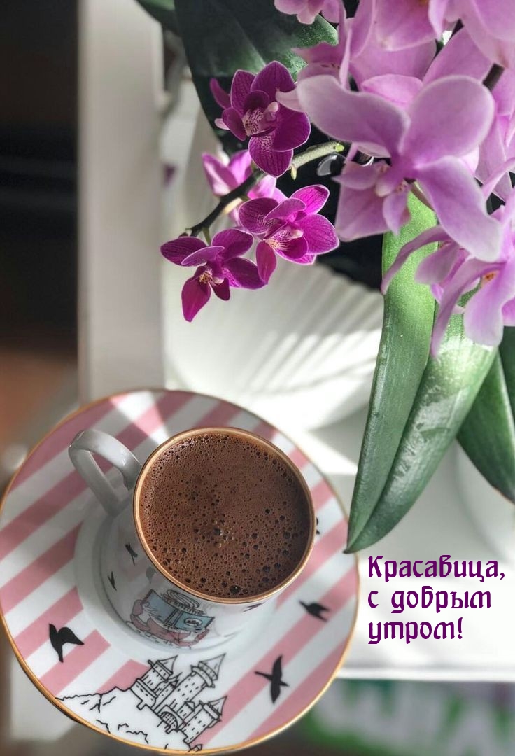 Красавица, с добрым утром!