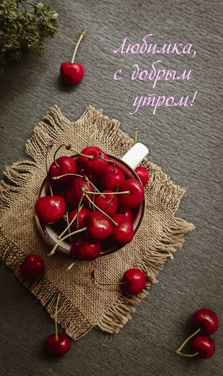 Любимка, с добрым утром!
