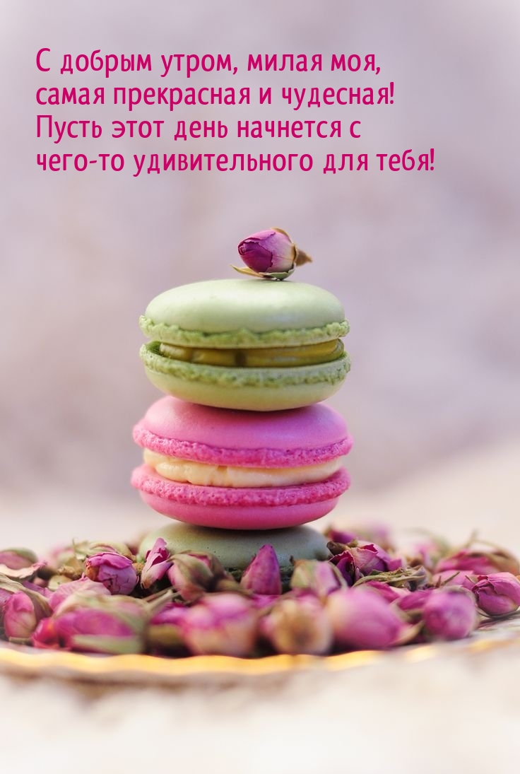С добрым утром, милая моя, самая прекрасная и чудесная!