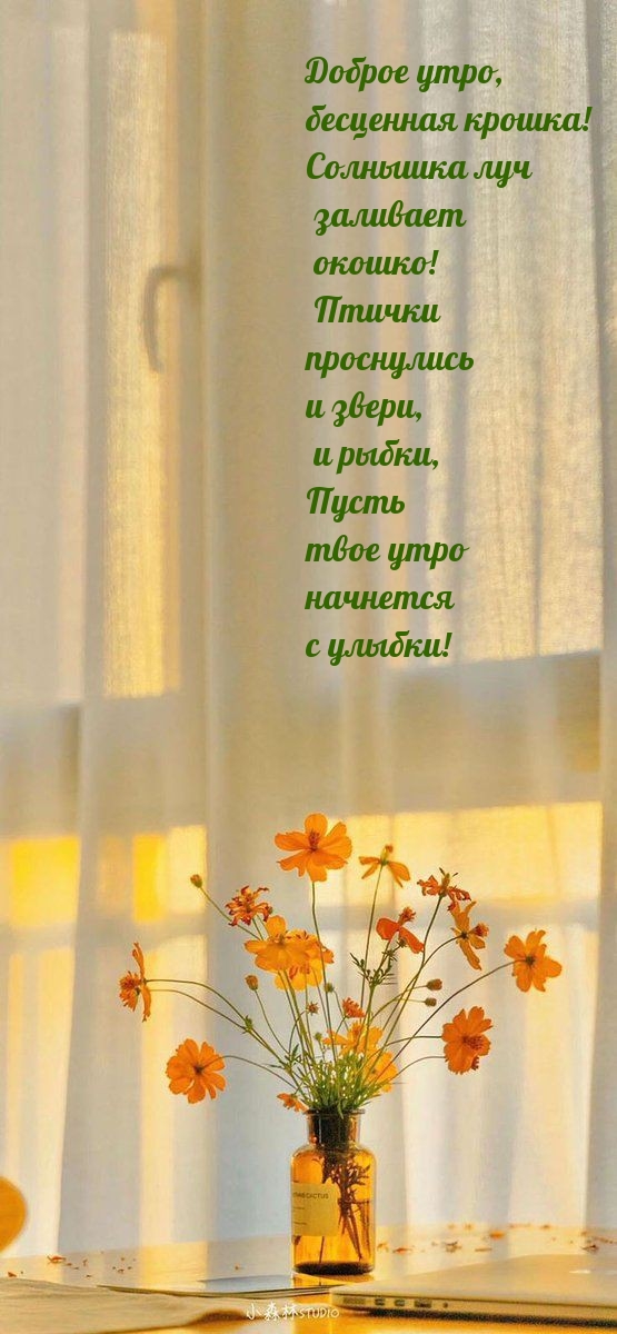 Доброе утро, бесценная крошка! Солнышка луч заливает окошко!