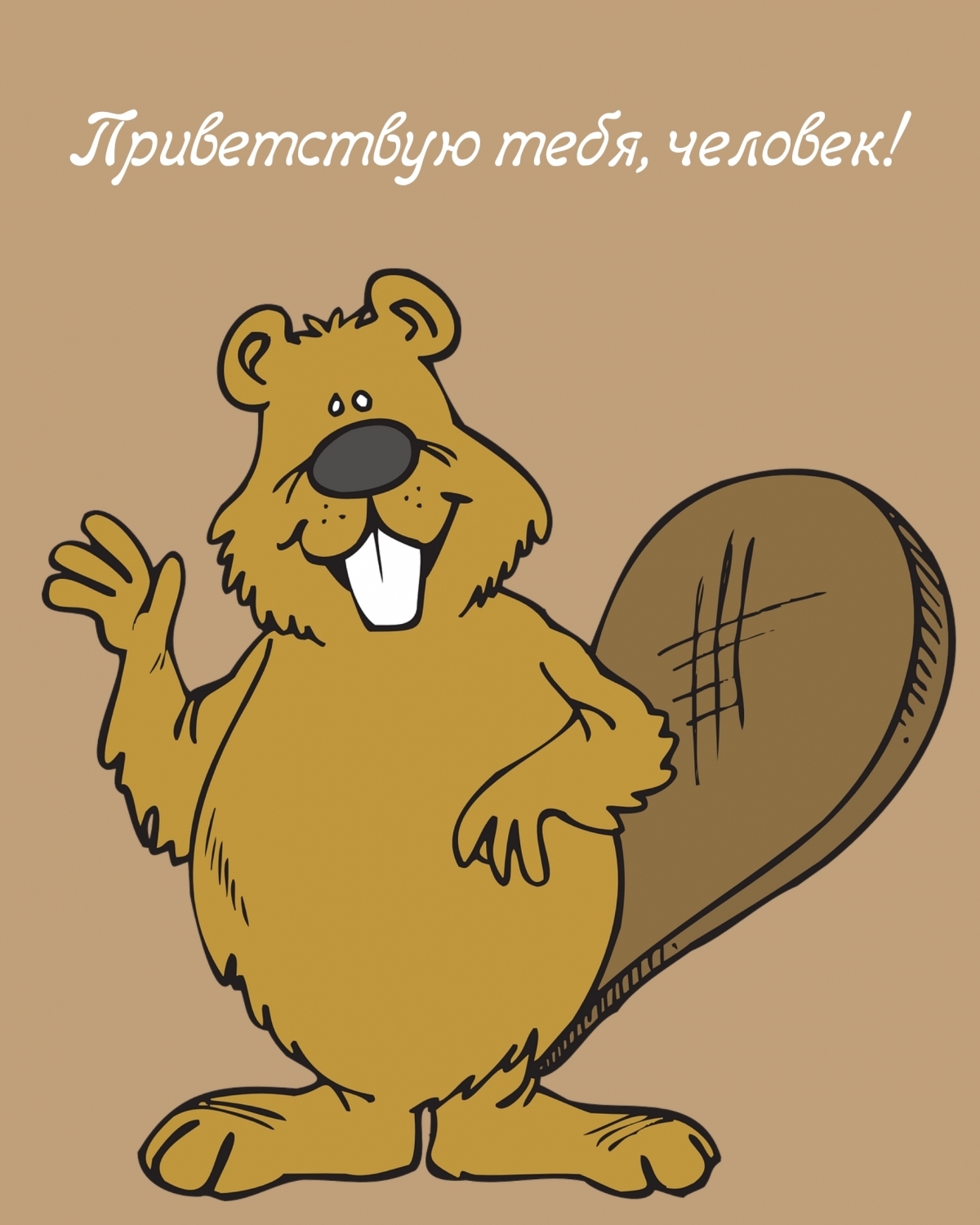 Приветствую тебя, человек!