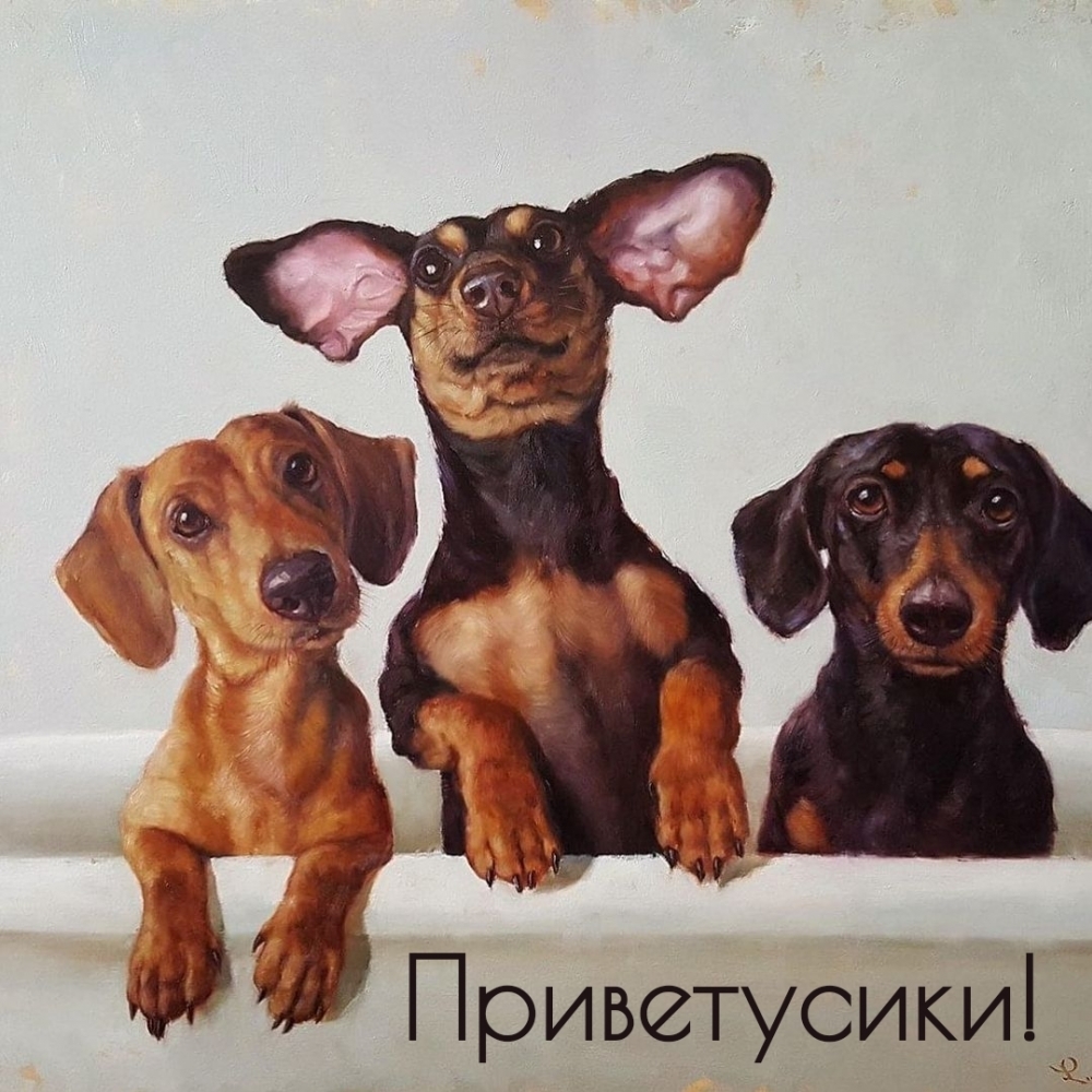 Приветусики!