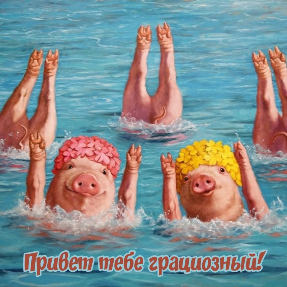 Привет тебе грациозный!