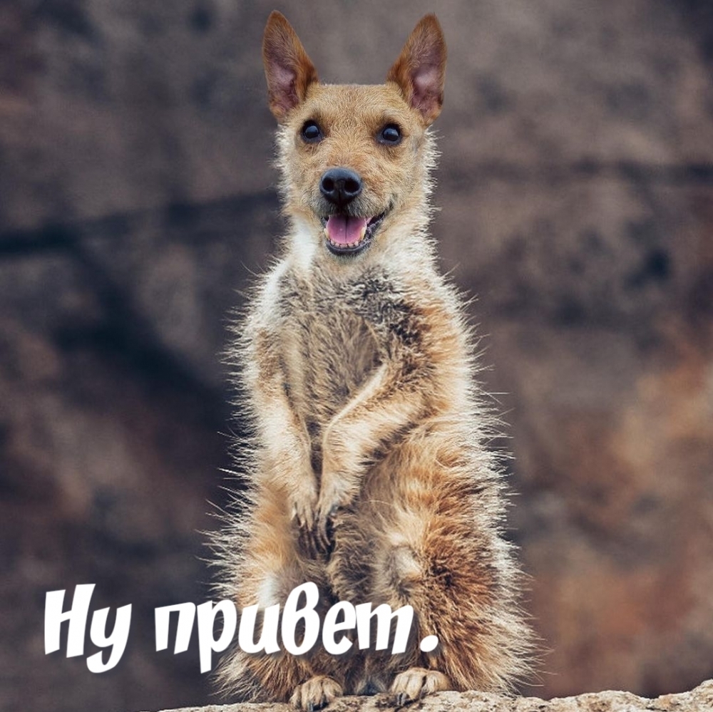 Ну привет.