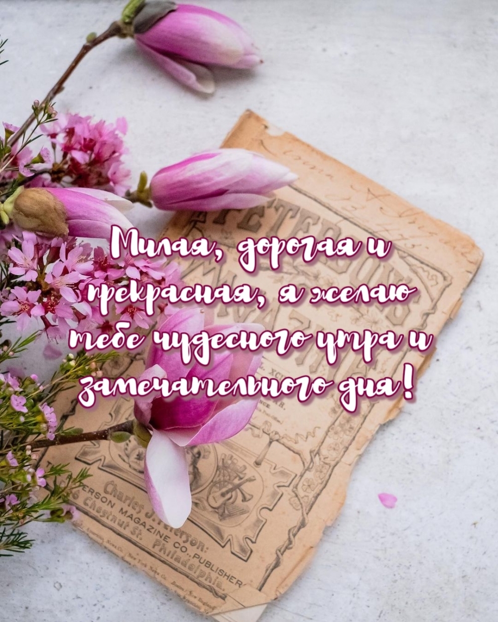 Милая, дорогая и прекрасная, я желаю тебе чудесного утра