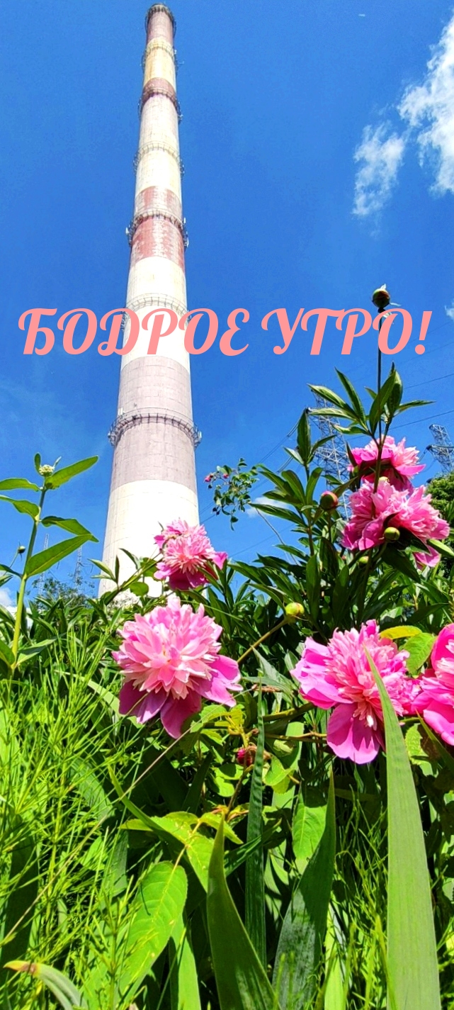 Бодрое утро!