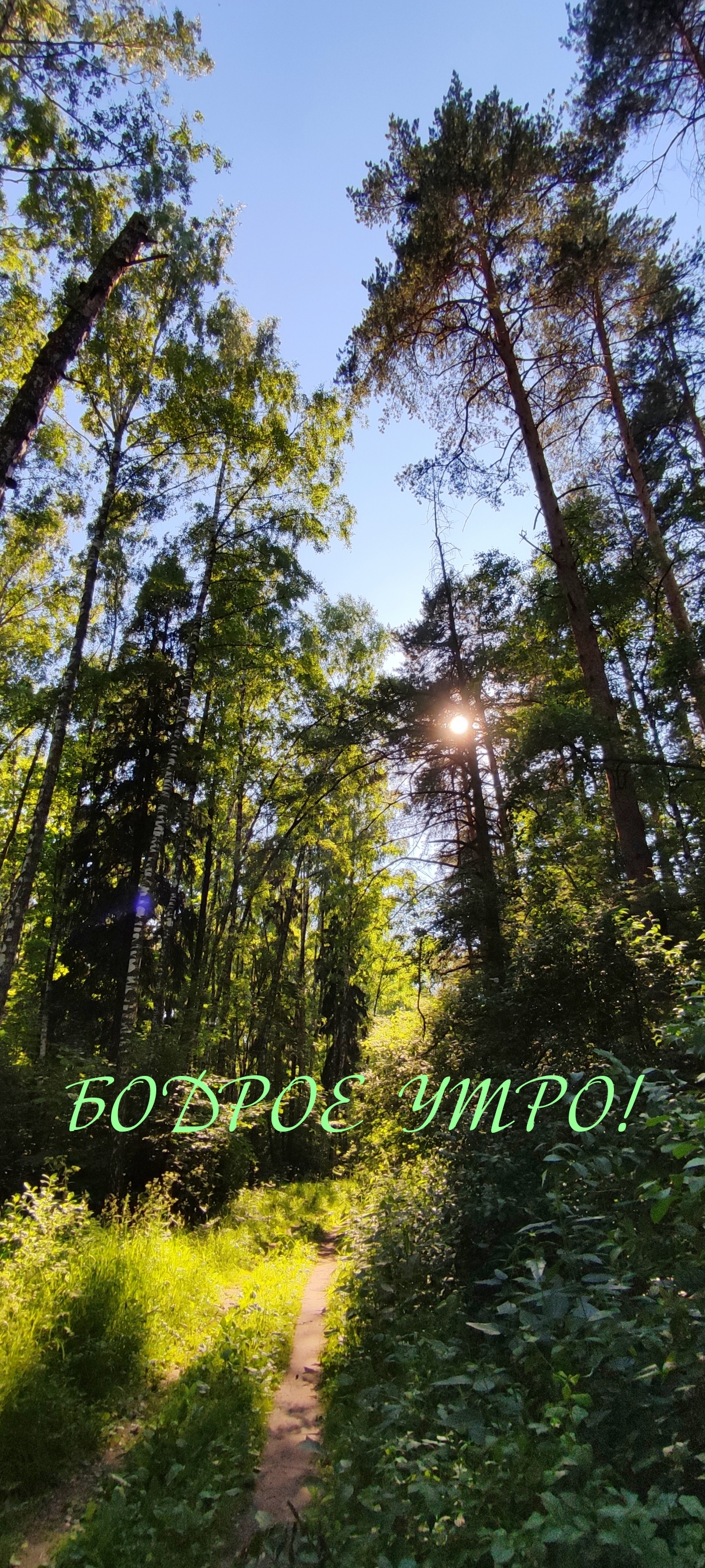 Бодрое утро!