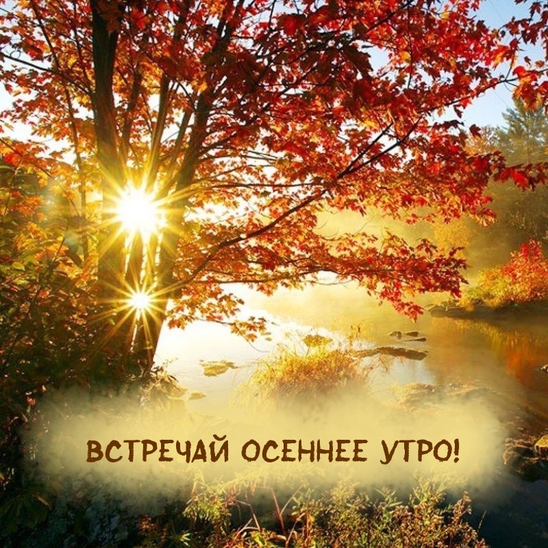 Встречай осеннее утро!
