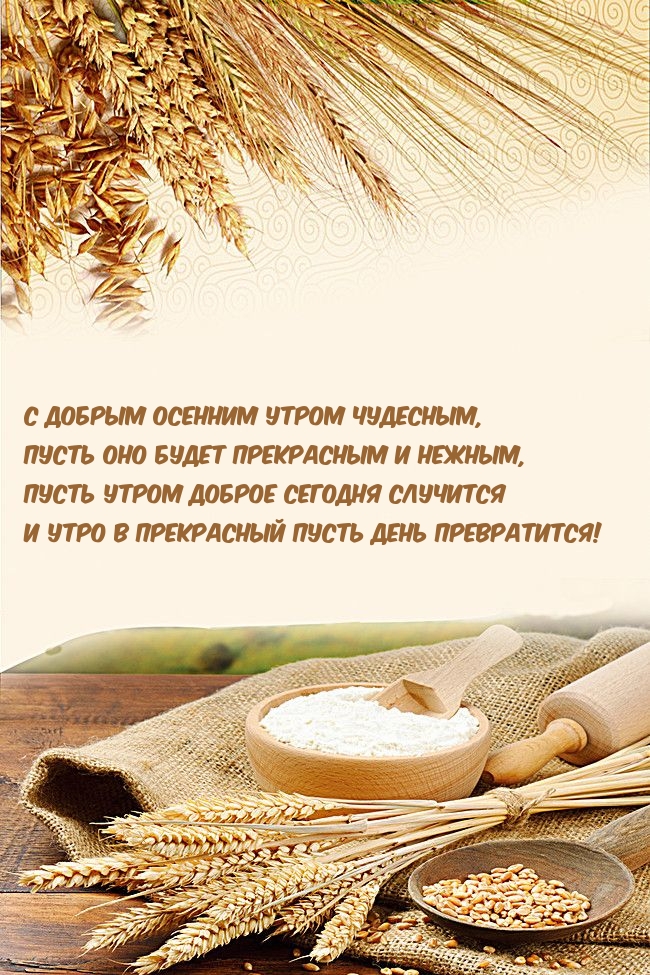 Картинка - С добрым осенним утром чудесным, пусть оно будет прекрасным.
