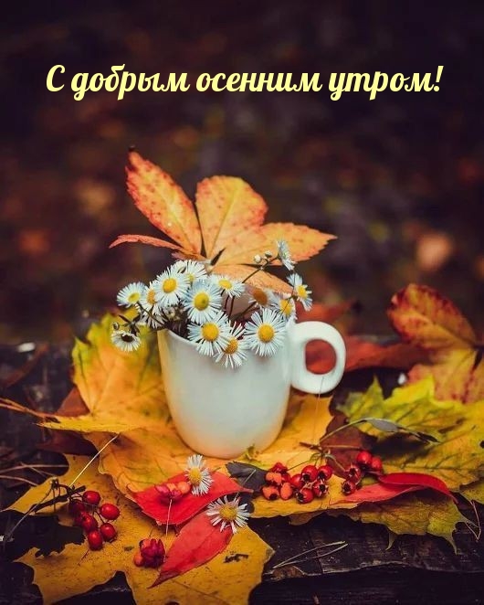 Картинка - С добрым осенним утром!.
