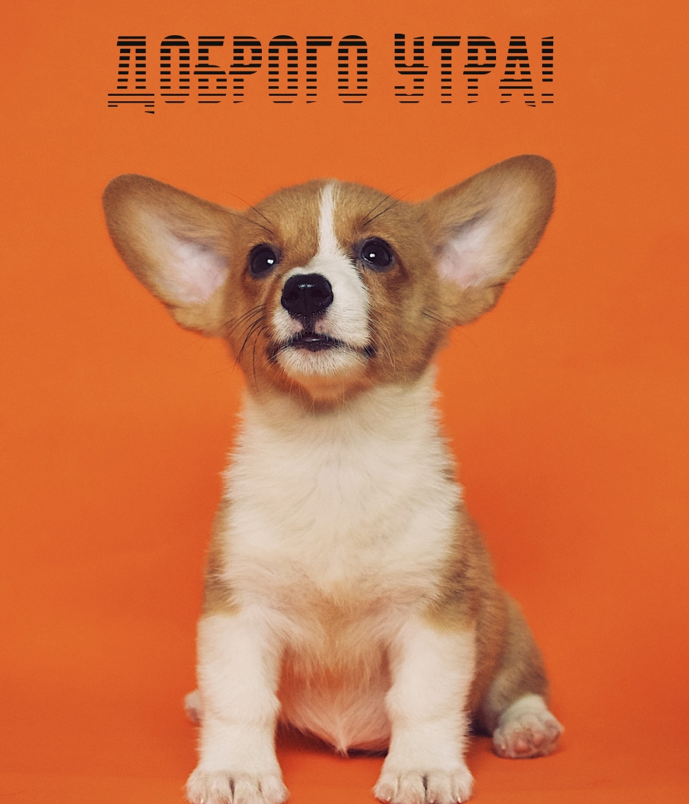 доброго утра!