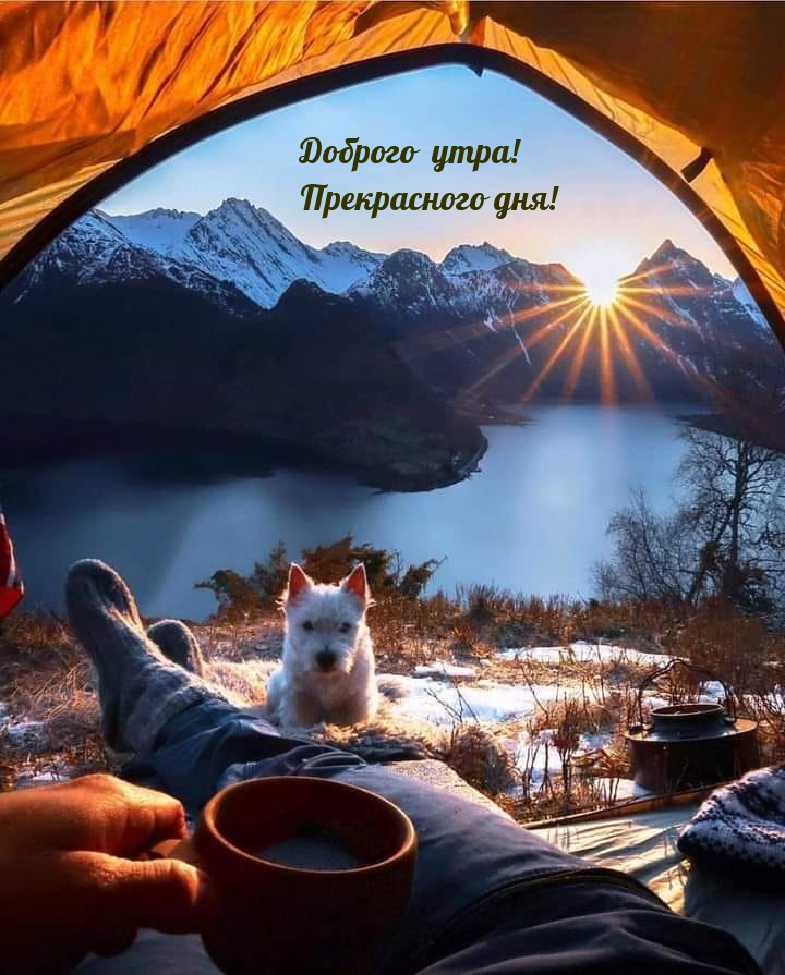Доброго утра! Прекрасного дня!