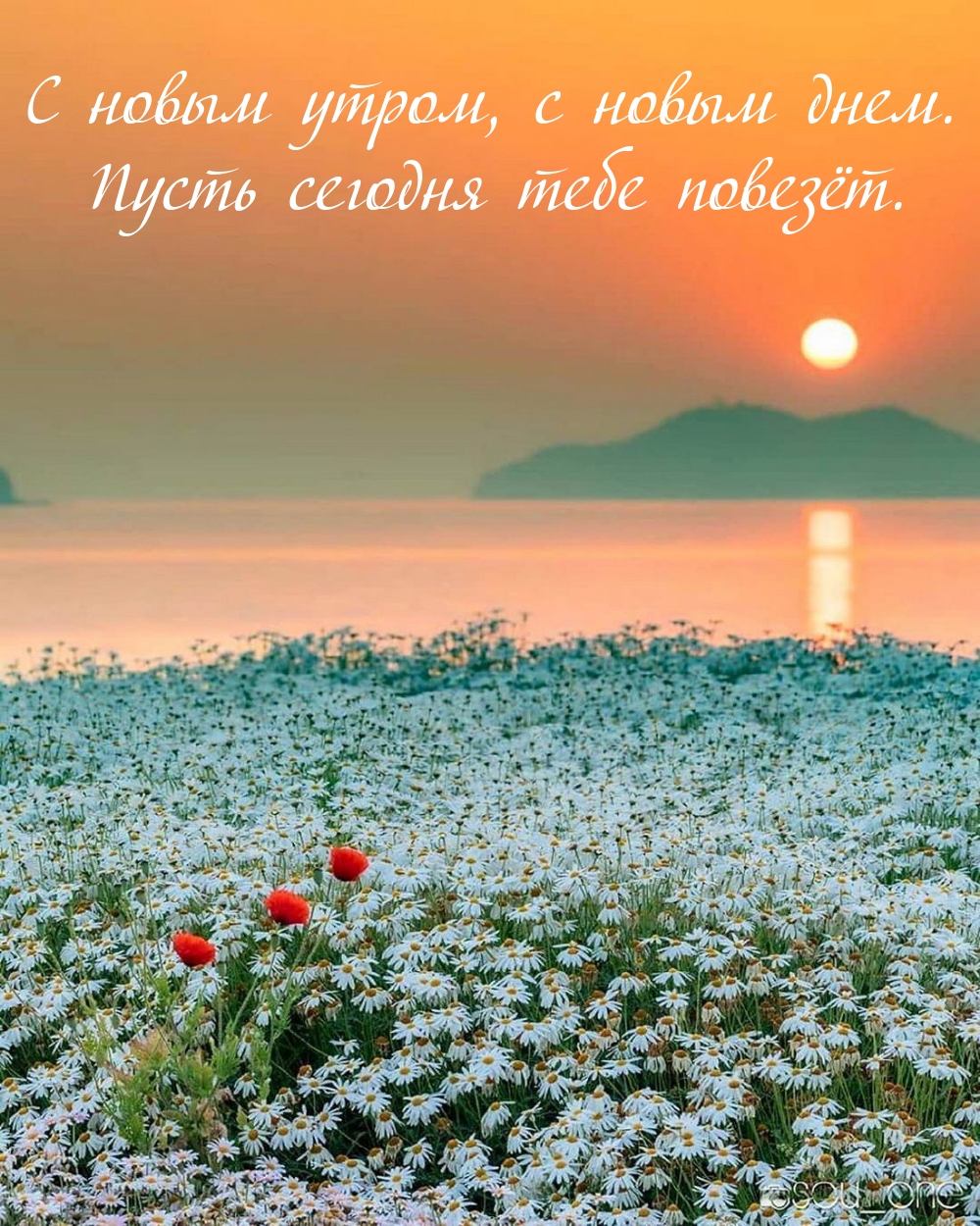 С новым утром, с новым днем. Пусть сегодня тебе повезёт.