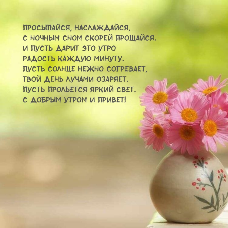 Просыпайся, наслаждайся, с ночным сном скорей прощайся.