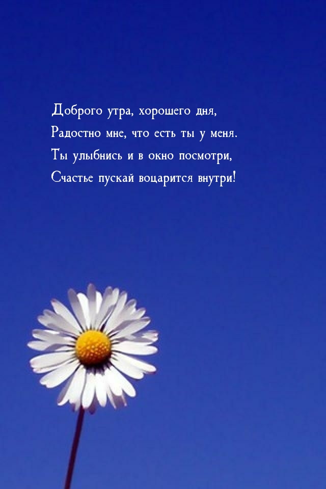 Доброго утра, хорошего дня, радостно мне, что есть ты у меня.