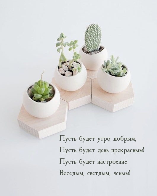Пусть будет утро добрым, пусть будет день прекрасным!