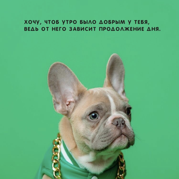 Хочу, чтоб утро было добрым у тебя