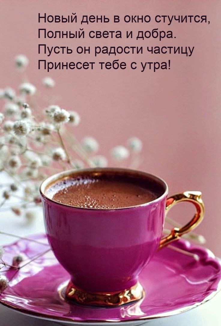 Новый день в окно стучится, полный света и добра.