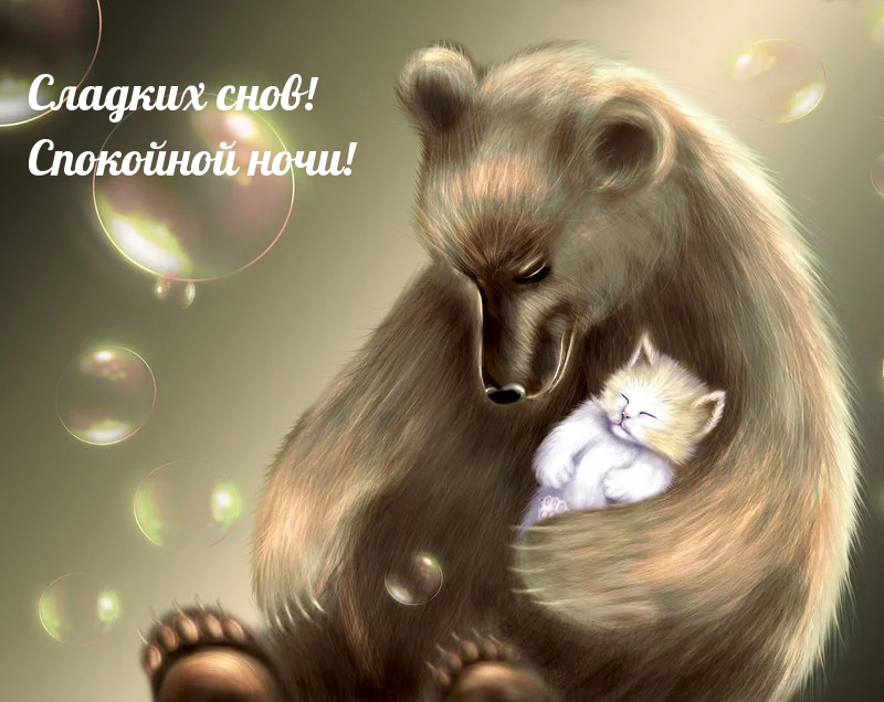 Сладких снов! Спокойной ночи!