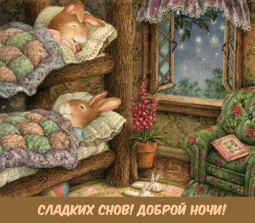 Сладких снов! Доброй ночи!