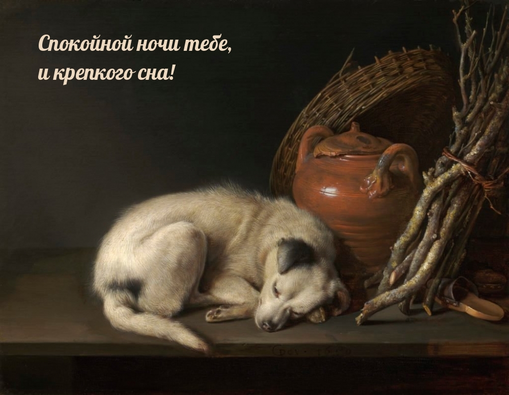 Спокойной ночи тебе, и крепкого сна!