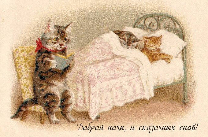 Доброй ночи, и сказочных снов!