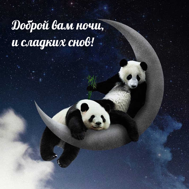 Доброй вам ночи, и сладких снов!