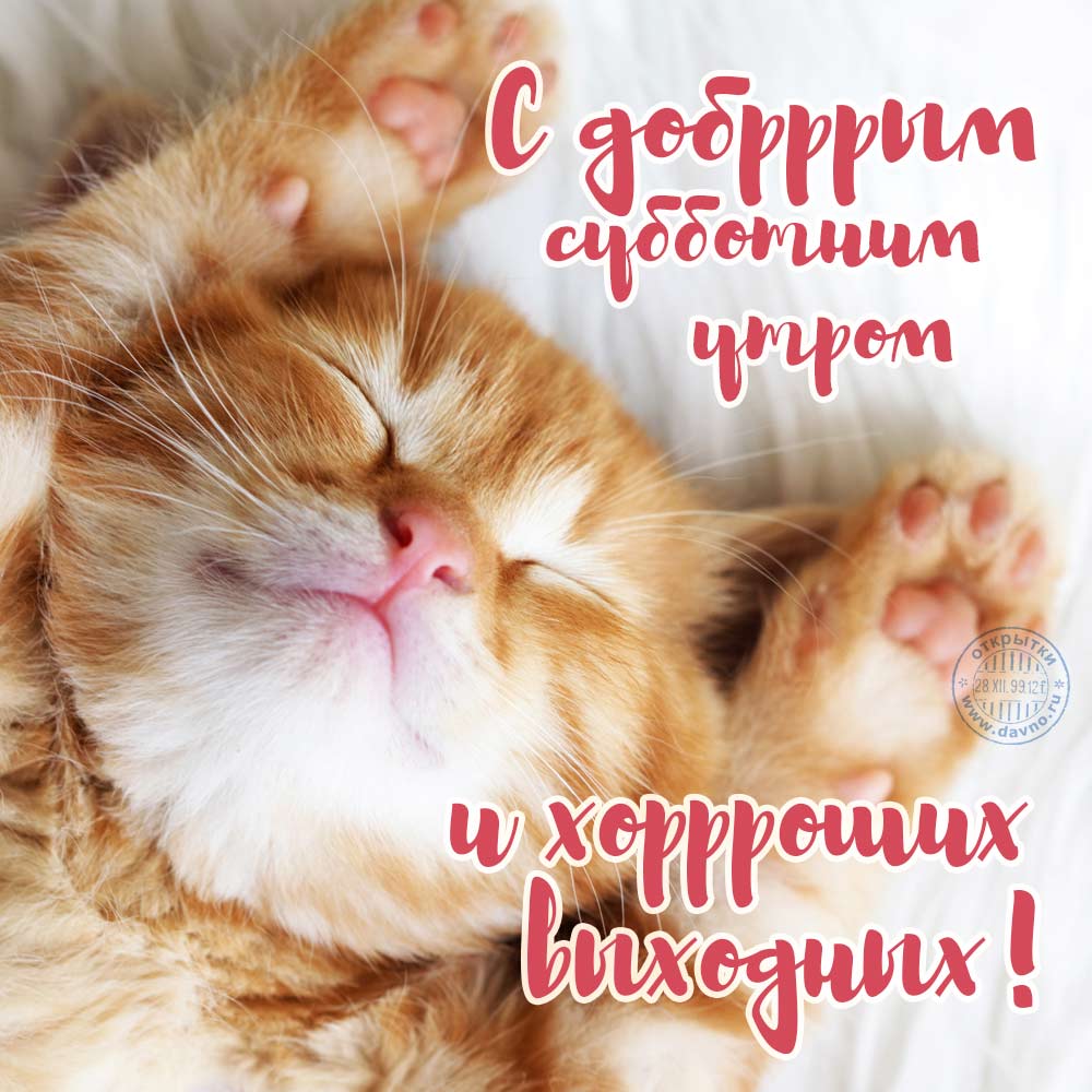 С добрым субботним утром и хороших выходных!