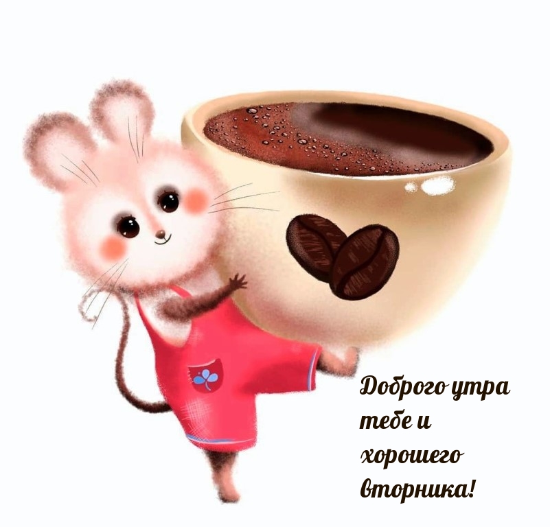 Доброго утра тебе и хорошего вторника!