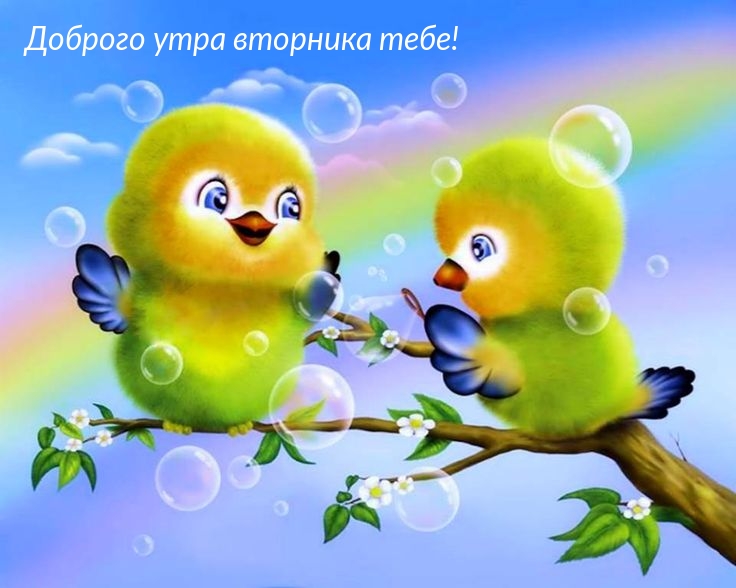 Доброго утра вторника тебе!