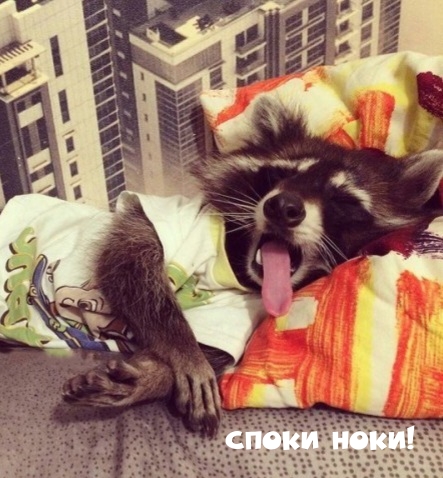 Споки ноки!