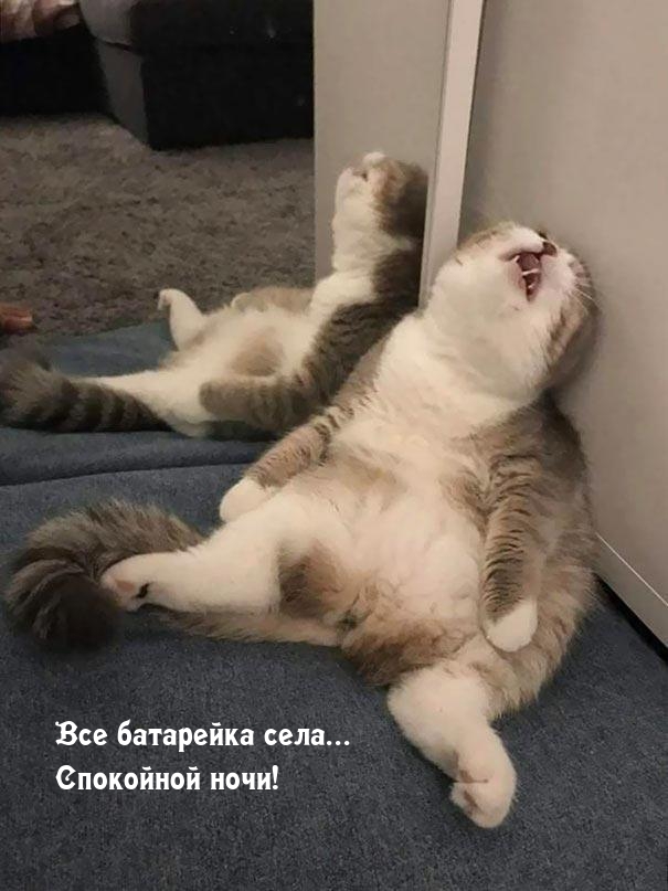 Все батарейка села… Спокойной ночи!