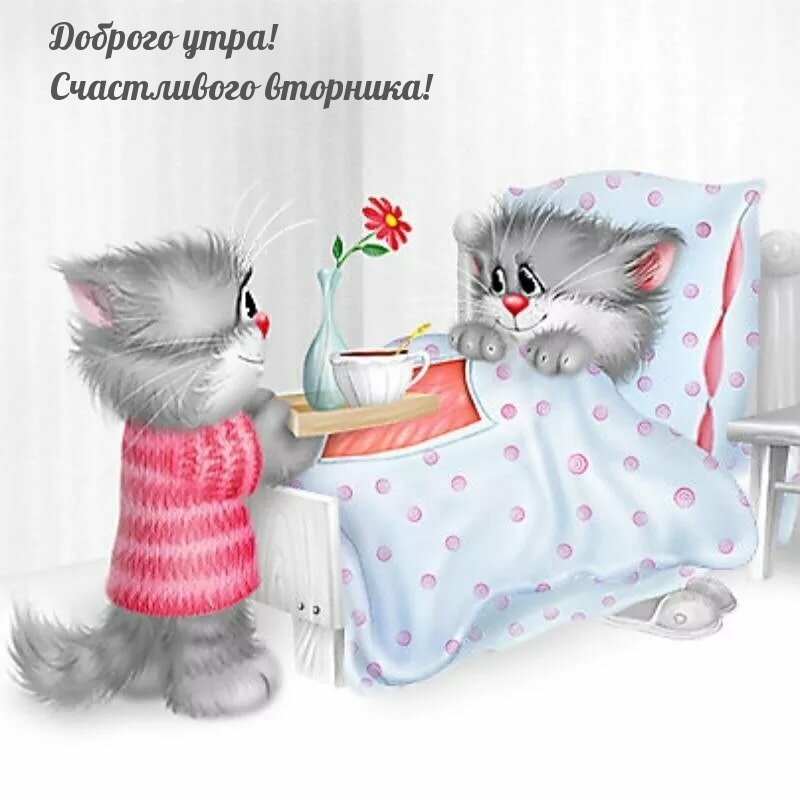 Доброго утра! Счастливого вторника!