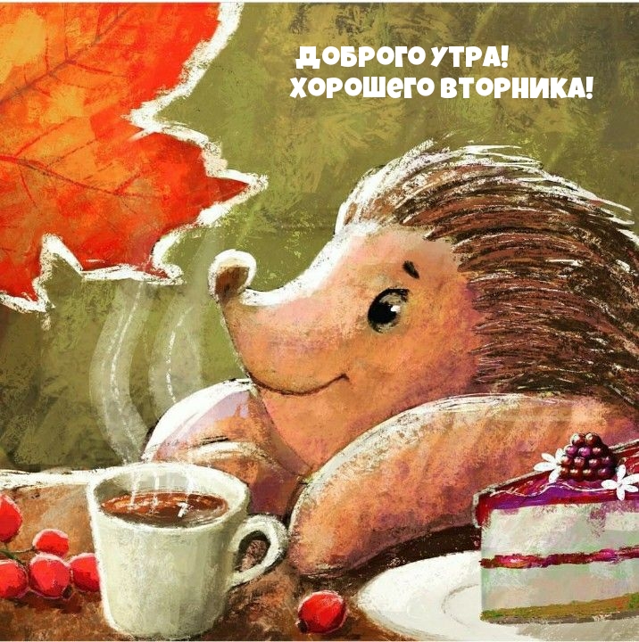 Доброго утра! Хорошего вторника!