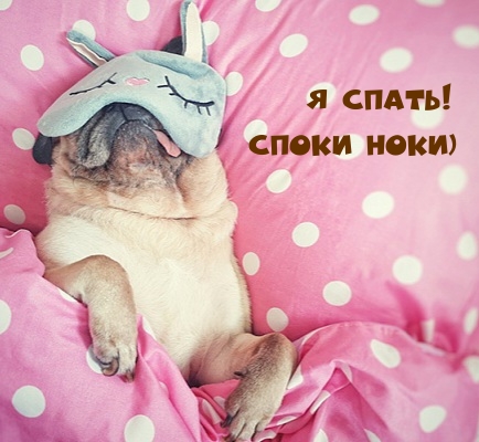 Я спать! Споки ноки)