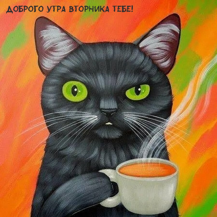 Доброго утра вторника тебе!