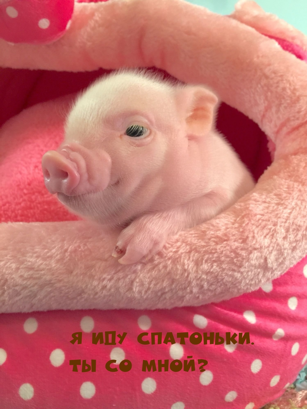 Я иду спатоньки. ты со мной?